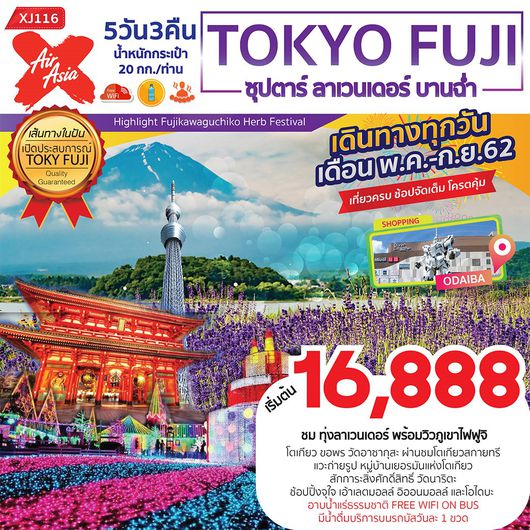 ทัวร์ญี่ปุ่น ซุปตาร์ ลาเวนเดอร์ บานฉ่ำ TOKYO FUJI 5D3N