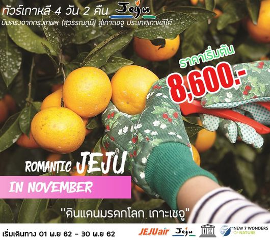 ทัวร์เชจู ROMANTIC JEJU IN NOVEMBER 4D2N