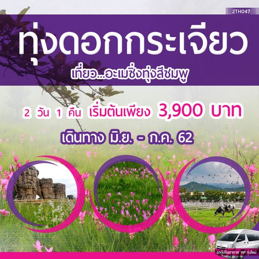 ทัวร์ทุ่งดอกกระเจียว อช.ไทรทอง อช.ป่าหินงาน จ.ชัยภูมิ