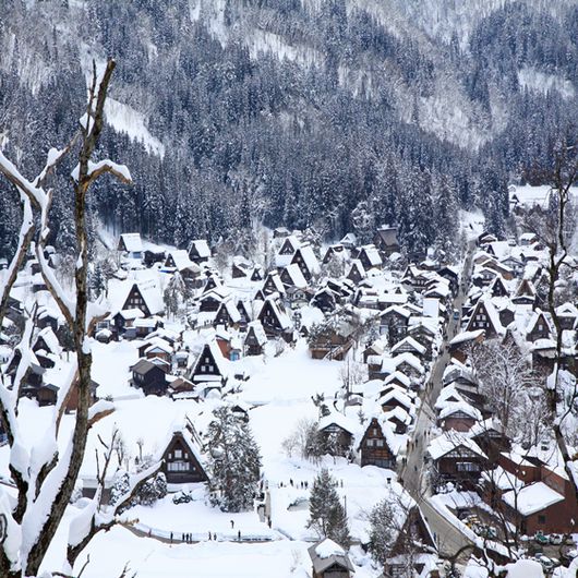 XJ139 OSAKA KYOTO SKI TAKAYAMA ซุปตาร์ หิมะขาว