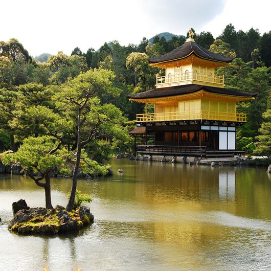 XJ138 Osaka Kyoto Ine Mitama ซุปตาร์ กิโมโน กับ ใบไม้แดง 5D3N