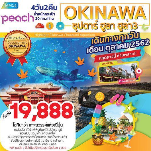 ทัวร์ญี่ปุ่น ทัวร์โอกินาว่า OKINAWA 4D2N ซุปตาร์ ฮูลา ฮูล่า 3