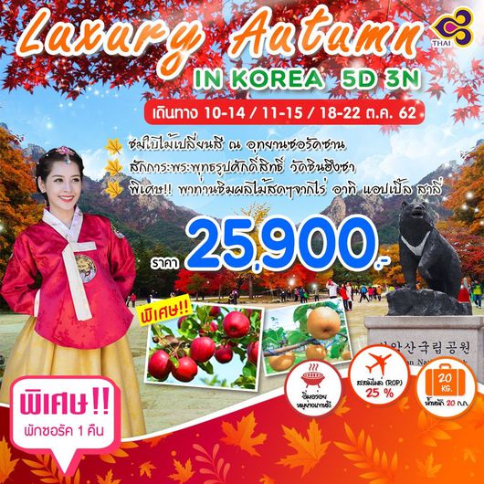 ทัวร์เกาหลี LUXURY AUTUMN IN KOREA 5วัน 3คืน (TG)