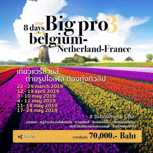 BIG PRO 3_Wonder of the North (Tulip) “Belgium-Netherland-France 8 Days”