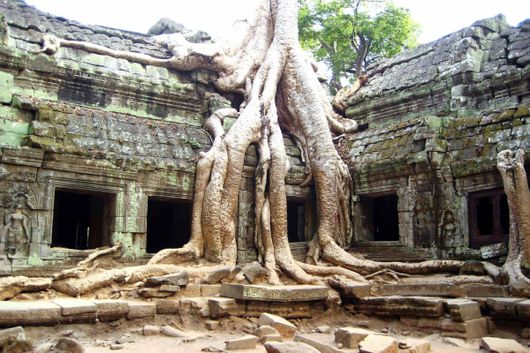 6 วัน 5 คืน ซื้อ 1 แถม 1 ล่องเรือสำราญที่ใหญ่ที่สุดในเอเชีย เที่ยวสุดคุ้ม พักผ่อนเต็มอิ่ม สิงคโปร์ เรดัง สีหนุวิลล์ แหลมฉบัง