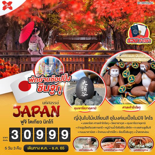 มหัศจรรย์...JAPAN ฟูจิ โตเกียว นิกโก้