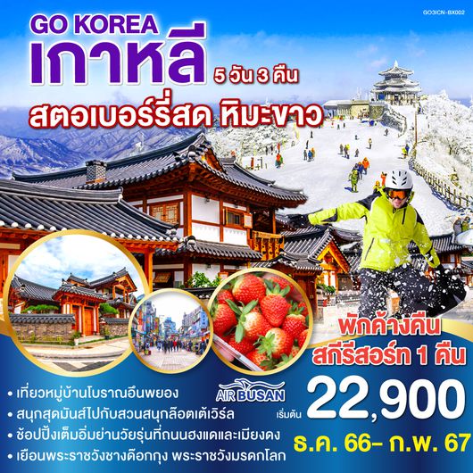 เกาหลี สตอเบอร์รี่สด หิมะขาว 5 วัน 3 คืน โดยสายการบินแอร์ปูซาน (BX)