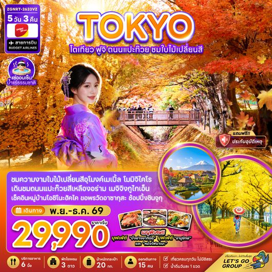 ZGNRT-2633VZ โตเกียว ฟูจิ ถนนแปะก๊วย ชมไบไม้เปลี่ยนสี (เที่ยวเต็มทุกวัน)