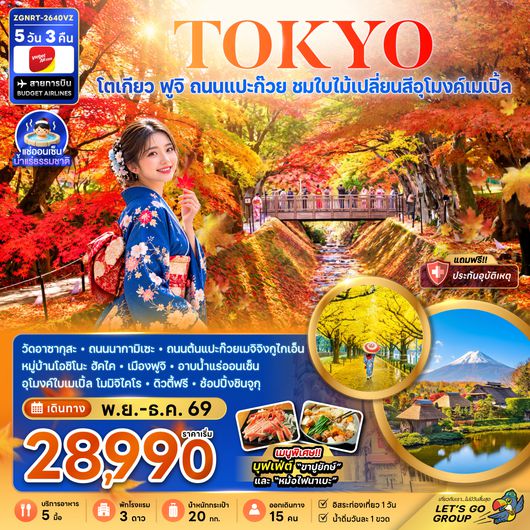 ZGNRT-2640VZ โตเกียว ฟูจิ ถนนแปะก๊วย ชมใบไม้เปลี่ยนสีอุโมงค์เมเปิ้ล