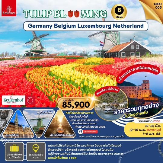 UIEU005 TULIP BLOOMING เยอรมัน ลักเซมเบิร์ก เบลเยี่ยม เนเธอร์แลนด์ 8 วัน