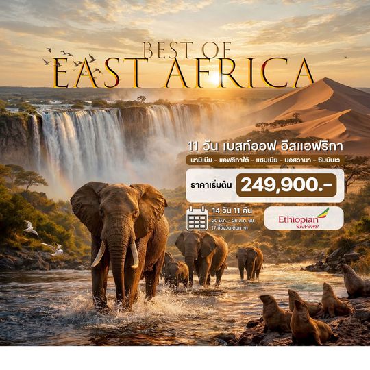 11 วัน เบสท์ออฟ อีสแอฟริกา