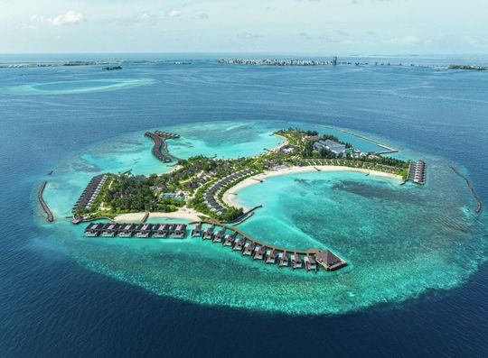 ศรีลังกา มัลดีฟส์ dusitD2 Feydhoo Maldives (ดุสิตดีทู เฟย์ดู มัลดีฟส์)