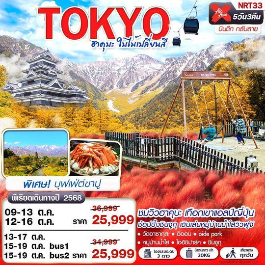 NRT33 XJ DMK TOKYO ฮาคุบะ ใบไม้เปลี่ยนสี (บินดึกกลับสาย เที่ยวเต็ม) OCT 5D3N