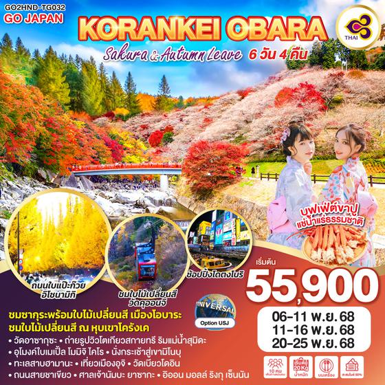 QQGO2HND-TG032 KORANKEI OBARA SAKURA & AUTUMN LEAVE 6D 4N โดยสายการบินไทย [TG]