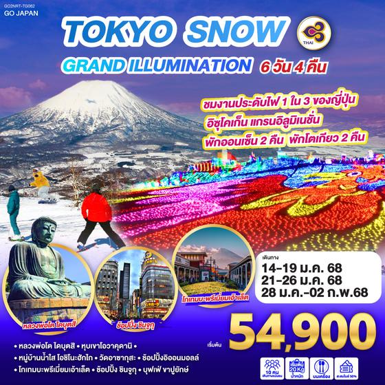 QQGO2NRT-TG062 TOKYO SNOW GRAND ILLUMINATION 6D 4N โดยสายการบินไทย [TG]