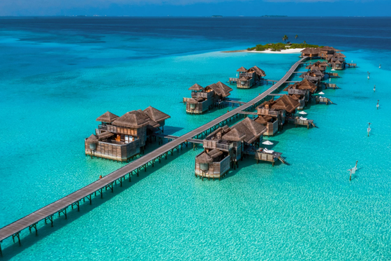 ศรีลังกา มัลดีฟส์ Gili Lankanfushi Luxury Resort Maldives (กีลี ลันกันฟูชิ มัลดีฟส์)