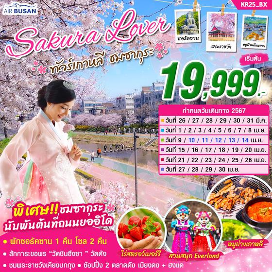Sakura Lover เกาหลี 5 วัน 3 คืน เดินทาง มีนาคม - เมษายน 67 เริ่มต้น 19,999.- AIR BUSAN (BX)