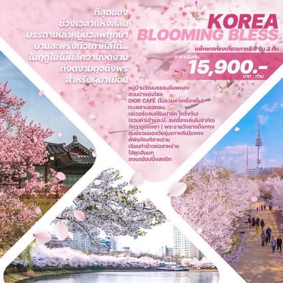 KOREA BLOOMING BLESS 5 วัน 3 คืน เดินทาง มีนาคม - พฤษภาคม 67 เริ่มต้น 15,900.- Jeju Air (7C), AIR BUSAN (BX)