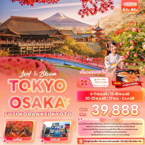 TOKYO OSAKA ญี่ปุ่น โตเกียว โอซาก้า ฟูจิ โครังเค เกียวโต 6 วัน 4 คืน เดินทาง พฤศจิกายน 68 เริ่มต้น 39,888.- Air Asia X (XJ)