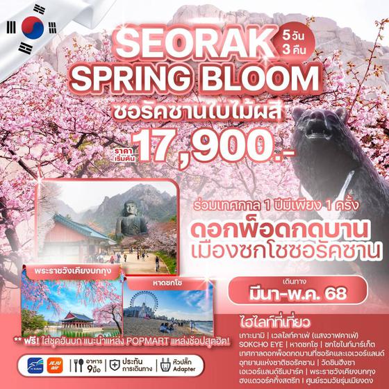 ทัวร์เกาหลี SEORAK SPRING BLOOM 5 วัน 3 คืน บิน : JEJU AIR | AIR BUSAN