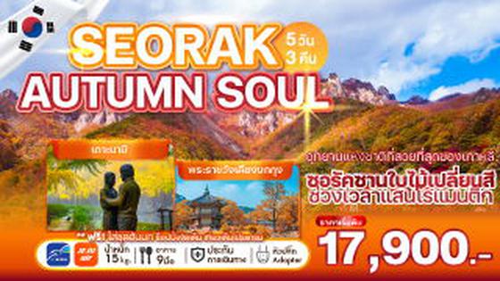 WEKR-SAS2025 ทัวร์เกาหลี SEORAK AUTUMN SOUL 5 วัน 3 คืน บิน : JEJU AIR | AIR BUSAN