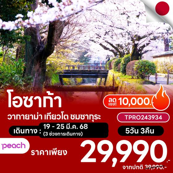 โปรไฟไหม้ ญี่ปุ่น โอซาก้า วากายาม่า เกียวโต ชมซากุระ ลดแรง 11,000.-