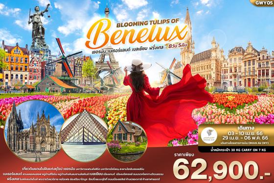 GWY05 BLOOMING TULIPS OF BENELUX 8วัน 5คืน