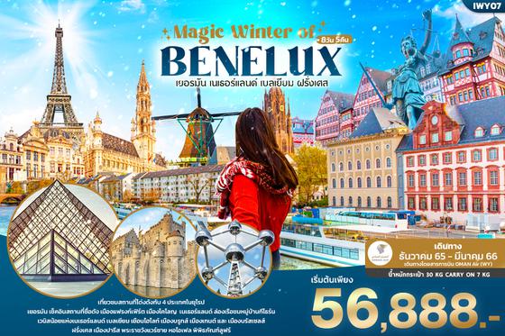 ทัวร์ยุโรป WY07 MAGIC WINTER OF BENELUX 8วัน 5คืน