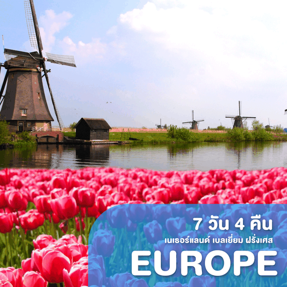 ทัวร์ยุโรป Beautiful Tulip เนเธอร์แลนด์ เบลเยี่ยม ฝรั่งเศส