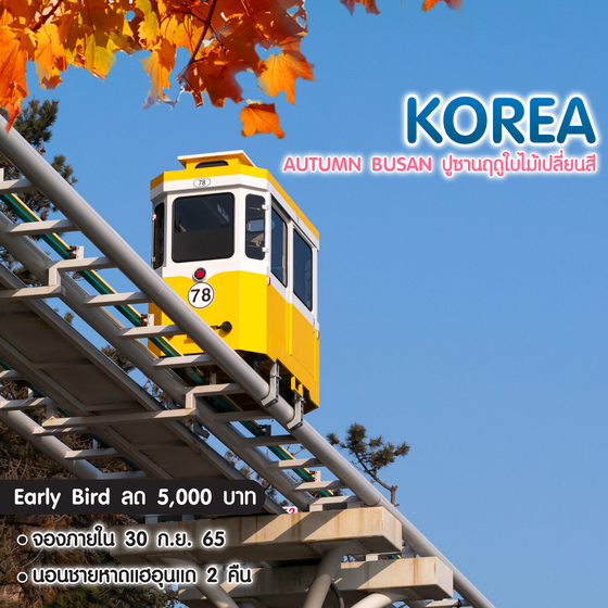 ทัวร์เกาหลี Autumn Busan ปูซานฤดูใบไม้เปลี่ยนสี 