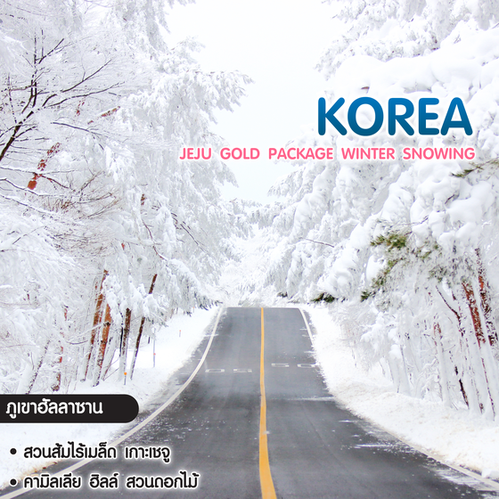 ทัวร์เกาหลี JeJu Gold Package Winter Snowing
