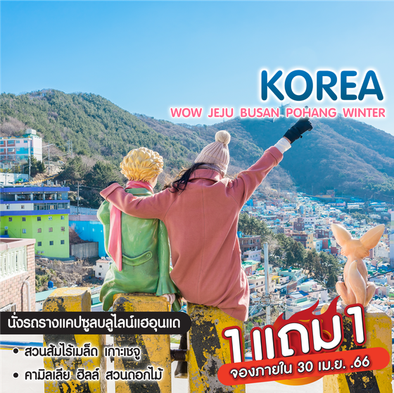 ทัวร์เกาหลี ️Wow Jeju Busan Pohang Winter เที่ยว 3 เมืองสุดคุ้ม