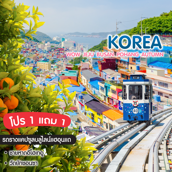 ทัวร์เกาหลี Wow Jeju Busan Pohang