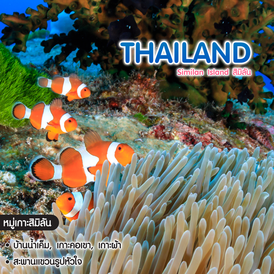 ทัวร์ไทย Similan Island สิมิลัน