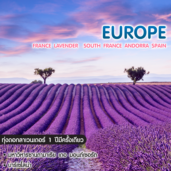 ทัวร์ยุโรป France Lavender South France Andorra Spain 1 ปีมีครั้งเดียว 