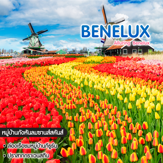 ทัวร์ยุโรป Alluring Benelux Netherland Belgium Luxembourg France