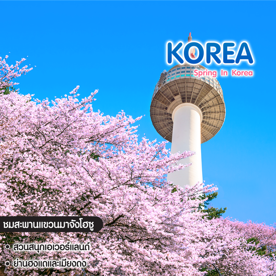 ทัวร์เกาหลี Spring In Korea