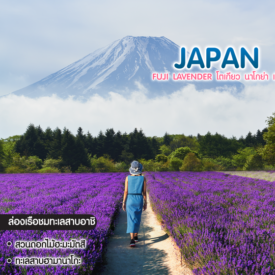 ทัวร์ญี่ปุ่น Fuji Lavender โตเกียว นาโกย่า เกียวโต โอซาก้า 