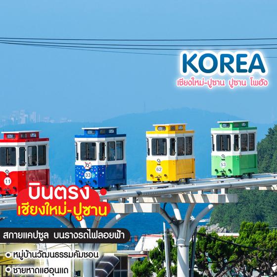 ทัวร์เกาหลี เชียงใหม่-ปูซาน ปูซาน โพฮัง