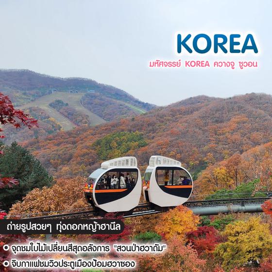 ทัวร์เกาหลี มหัศจรรย์ Korea ควางจู ซูวอน