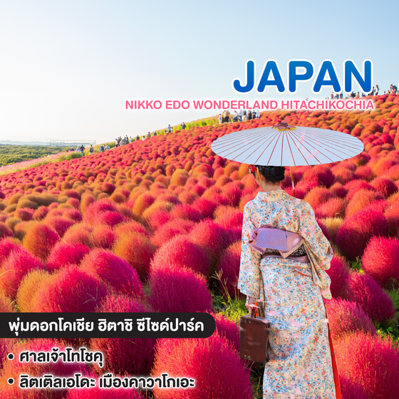 ทัวร์ญี่ปุ่น NIKKO EDO WONDERLAND HITACHIKOCHIA