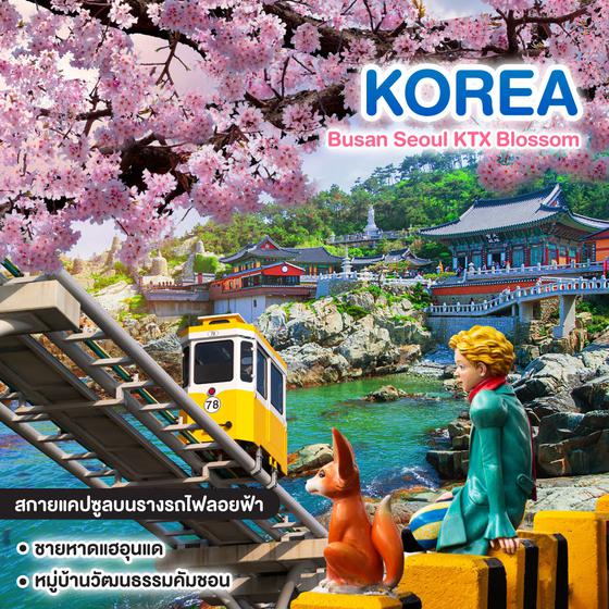 ทัวร์เกาหลี Busan Seoul KTX Blossom มี.ค. - มิ.ย. 