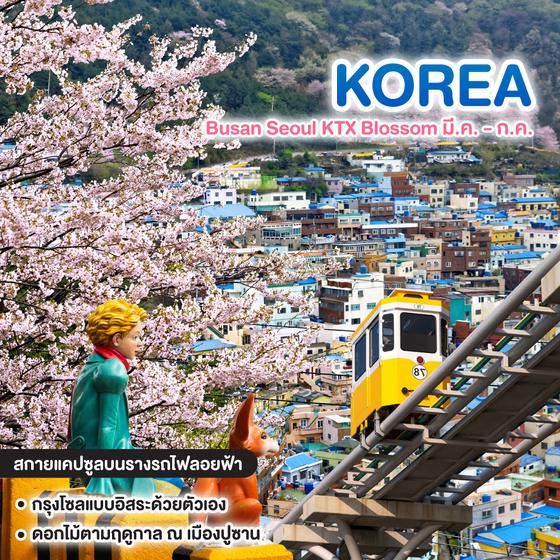 ทัวร์เกาหลี Busan Seoul KTX Blossom มี.ค. - ก.ค.