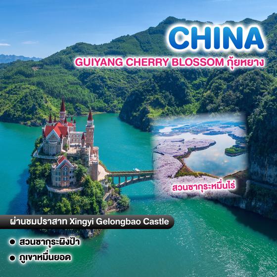 ทัวร์จีน CHERRY BLOSSOM กุ้ยหยาง สวนซากุระผิงป้า ภูเขาหมื่นยอด