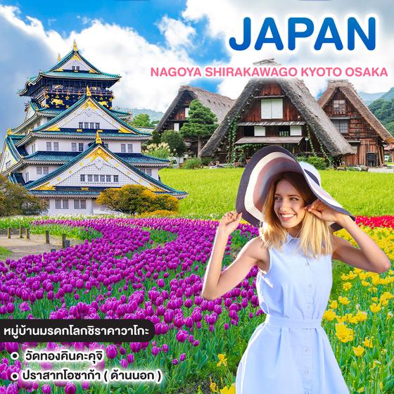 ทัวร์ญี่ปุ่น NAGOYA SHIRAKAWAGO KYOTO OSAKA 