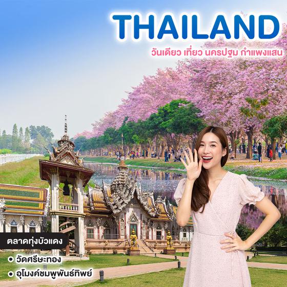 ทัวร์ไทย วันเดียว เที่ยว นครปฐม กำแพงแสน เที่ยวกำแพงแสน ดูถนนสีชมพู ชมพูพันธุ์ทิพย์ 