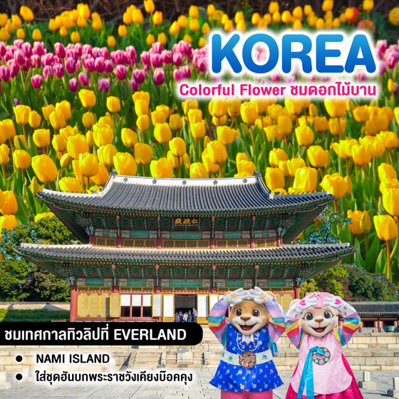 ทัวร์เกาหลี Colorful Flower ชมดอกไม้บาน