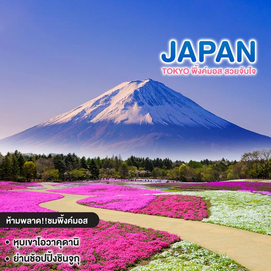 ทัวร์ญี่ปุ่น TOKYO พิ้งค์มอส สวยจับใจ