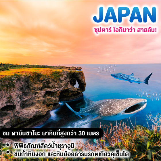 ทัวร์ญี่ปุ่น ซุปตาร์ โอกินาว่า สายลับ!