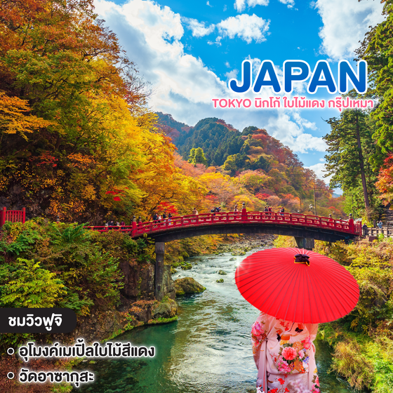 ทัวร์ญี่ปุ่น Tokyo นิกโก้ ใบไม้แดง กรุ๊ปเหมา 